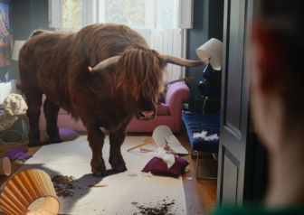 Purplebricks tells vendors to ignore the ‘bull’ and ‘sell your home for free’