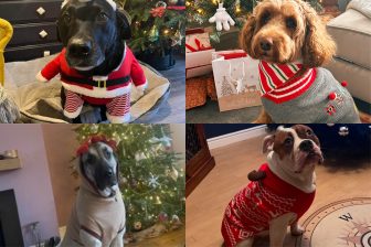 Christmas jumper day at Sheldon Bosley Knight